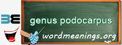 WordMeaning blackboard for genus podocarpus